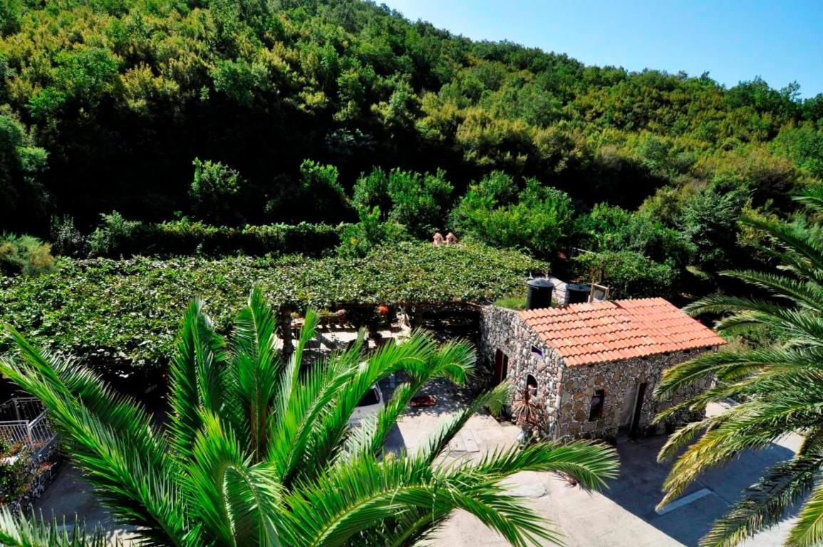Apartments Radonjic Budva Exterior foto